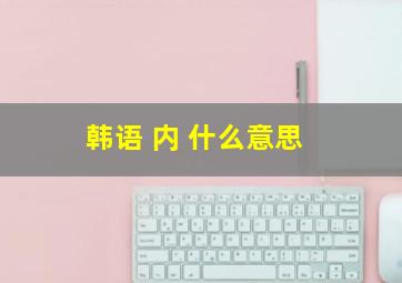 韩语 内 什么意思